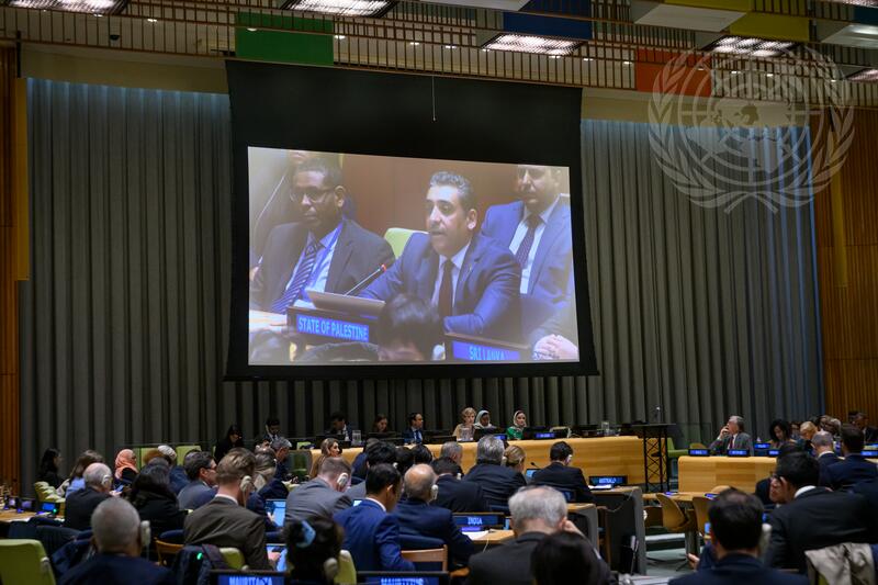 General Assembly Holds Preparatory Meeting before International Conference for Peaceful Settlement of Question of Palestine and Implementation of Two-State Solution