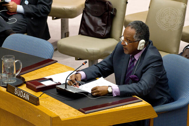 Security Council Meets on Situation in Abyei, Sudan