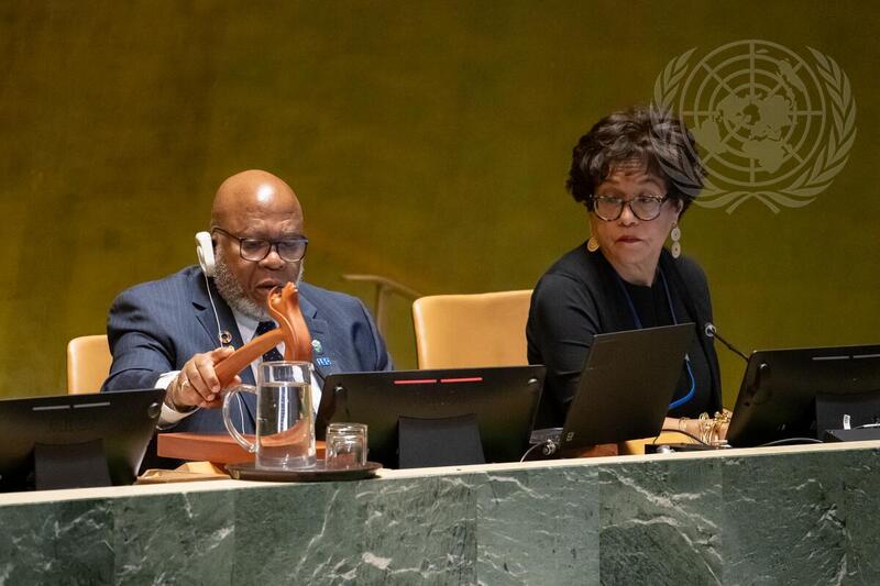 General Assembly Adopts Resolution Determining Palestine Qualified for UN Membership