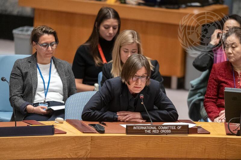 Security Council Meets on Women and Peace and Security