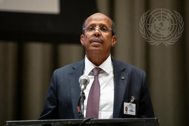 High-level Plenary Meeting on Addressing Existential Threats Posed by Sea Level Rise