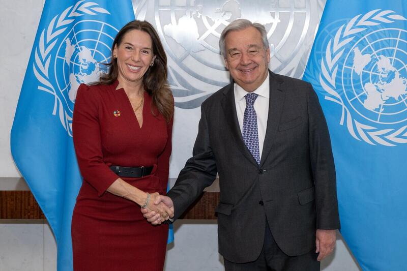Secretary-General Meets with President of Security Council