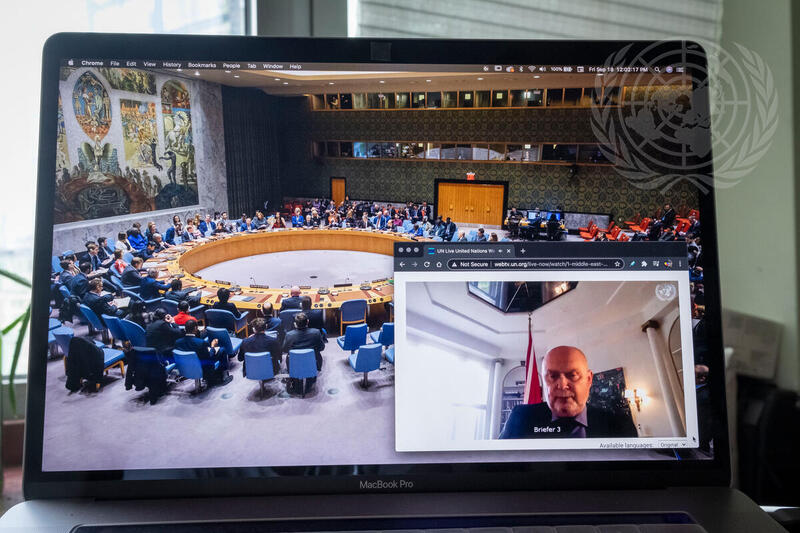 Security Council Members Hold Open Videoconference in Connection with Syria