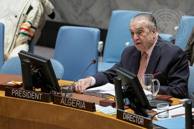 Security Council Meets on Situation in Syria