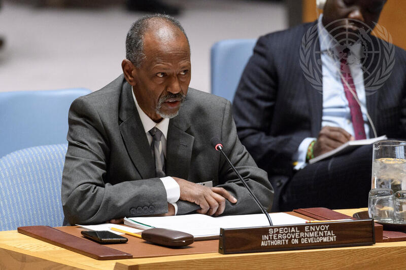 Security Council Considers Situation in South Sudan