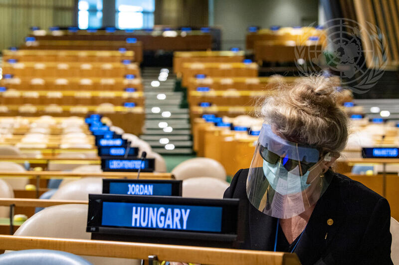 General Assembly Holds Elections for 75th President and Security Council Members