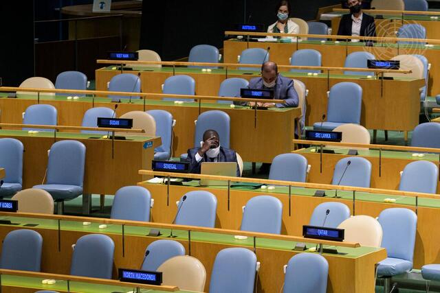 General Assembly Meets on International Decade for People of African Descent