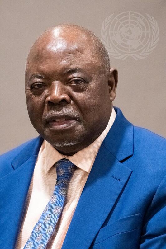 Portrait of Permanent Representative of Democratic Republic of Congo