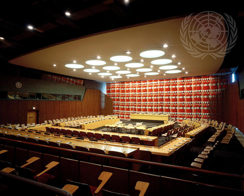 General View of Economic and Social Chamber