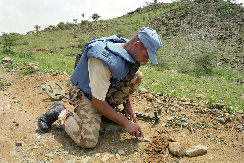 United Nations Mission in Eritrea and Ethiopia (UNMEE)