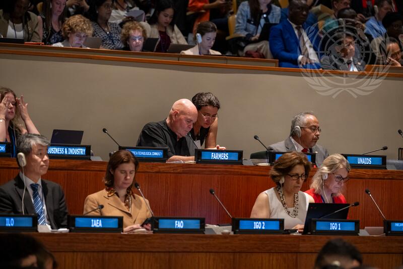 Economic and Social Council Holds Political Forum on Sustainable Development