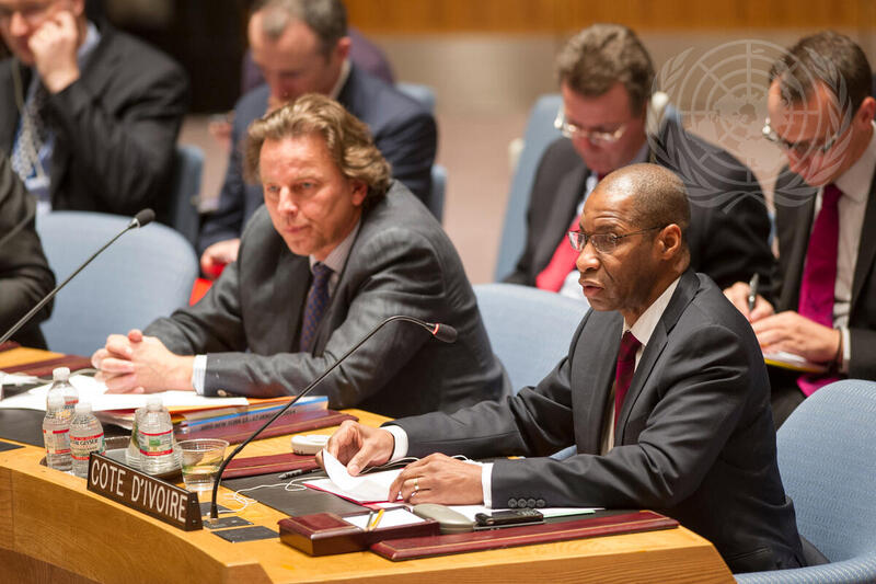 Security Council Discusses Situation in Mali
