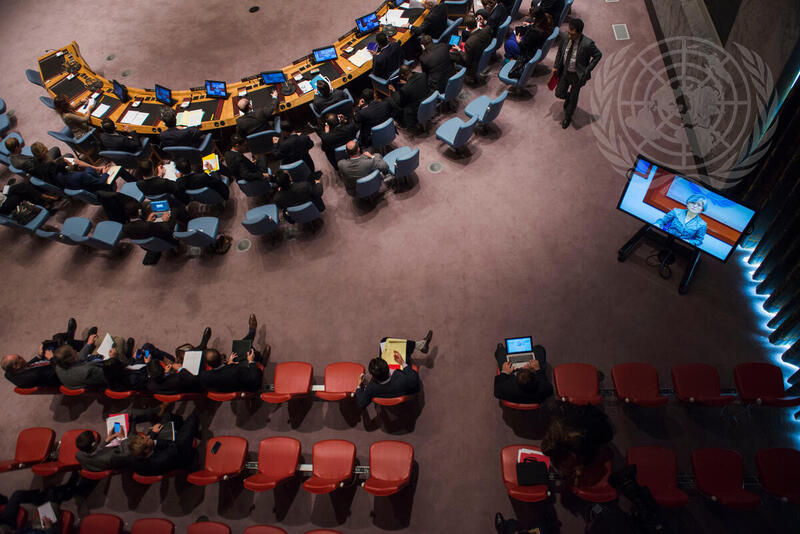 Security Council Meets on Middle East Situation