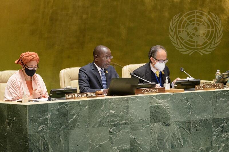 Coordination Segment of Economic and Social Council
