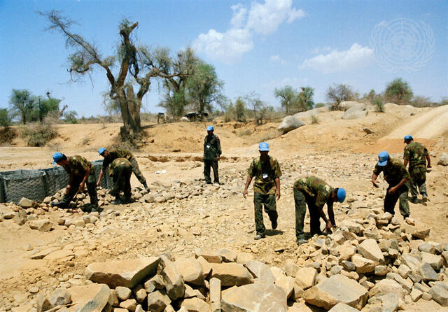 United Nations Mission in Eritrea and Ethiopia  (UNMEE)