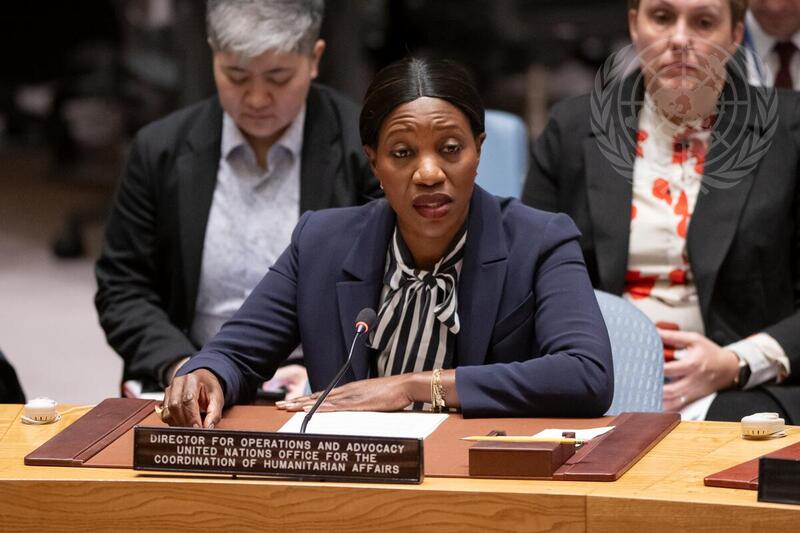 Security Council Meets on Maintenance of Peace and Security of Ukraine