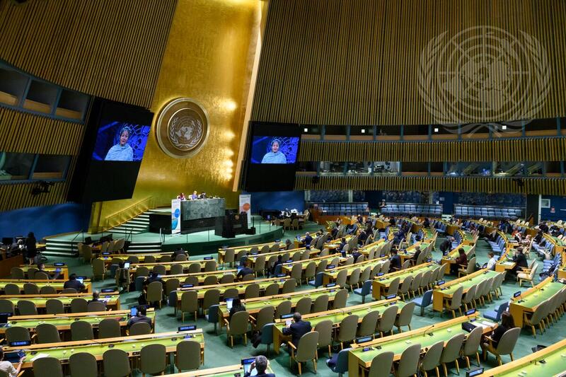 General Assembly Preparatory Meeting for the international "Stockholm+50"