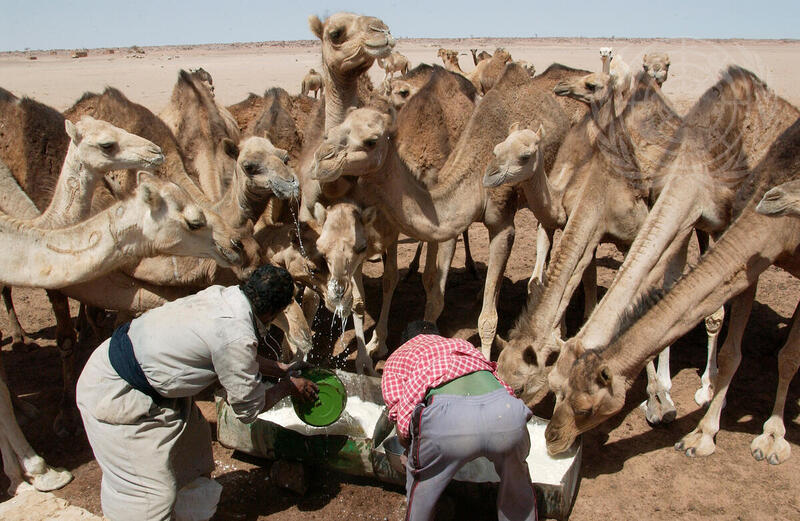 Western Sahara