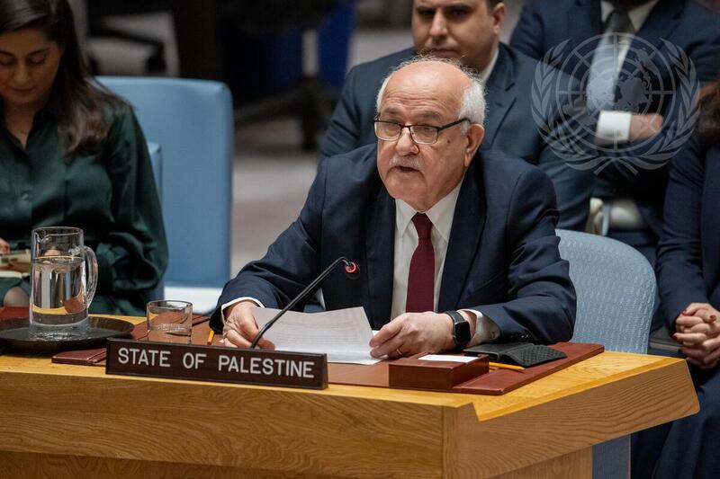 Security Council Meets on Situation in Middle East, Including Palestinian Question