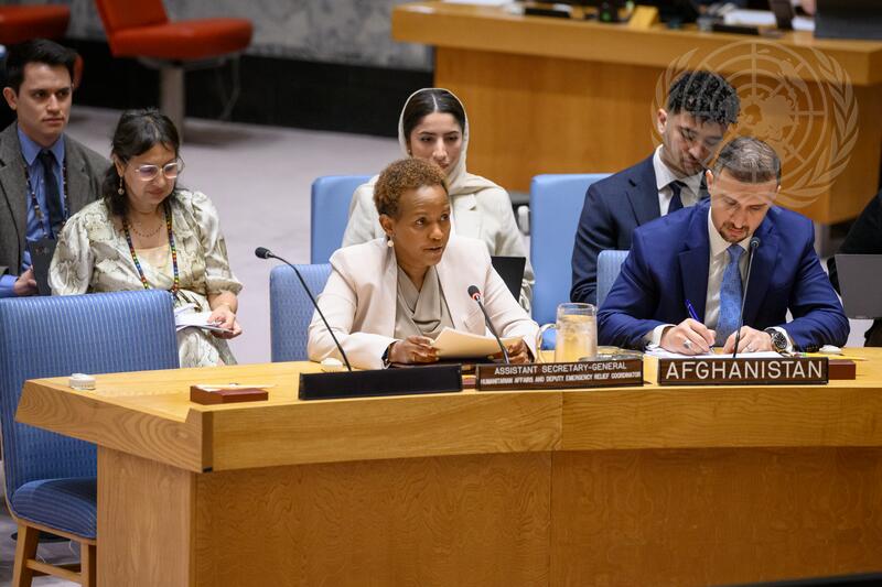 Security Council Meets on Situation in Afghanistan