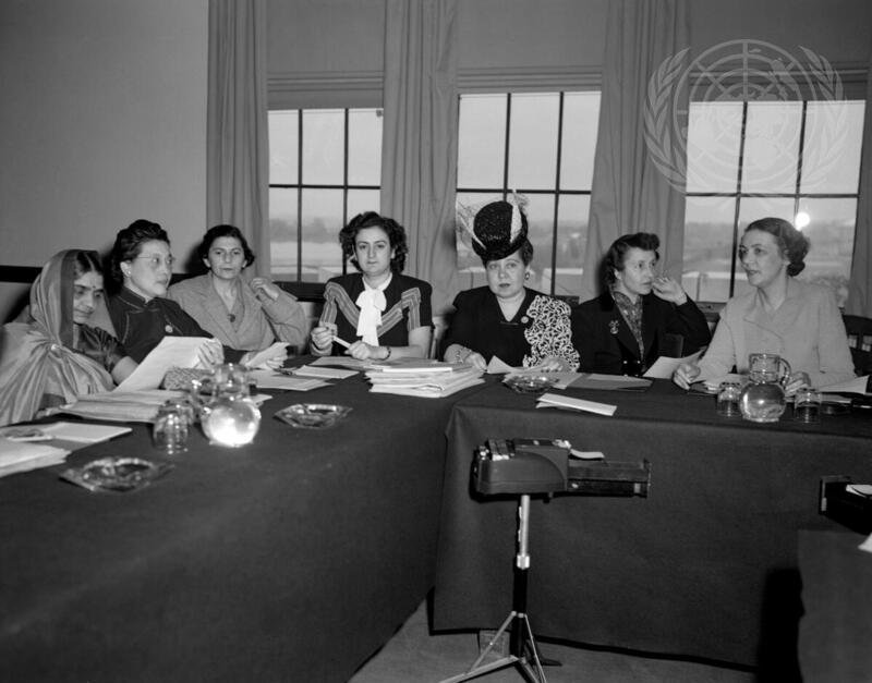 Sub-Commission on the Status of Women, EcoSoc Council