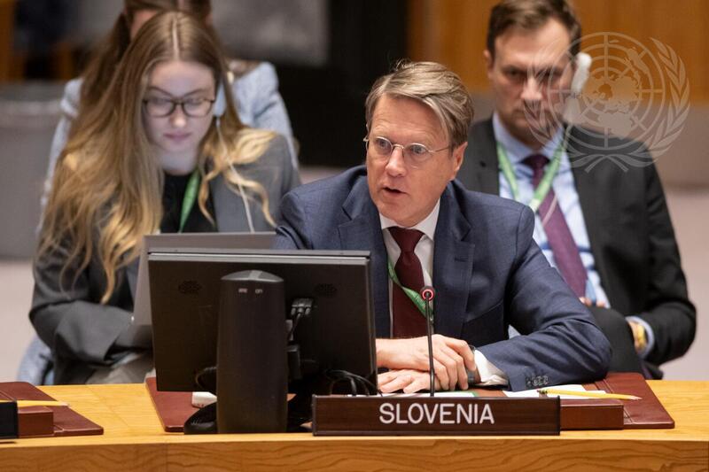 Security Council Meets on Maintenance of International Peace and Security