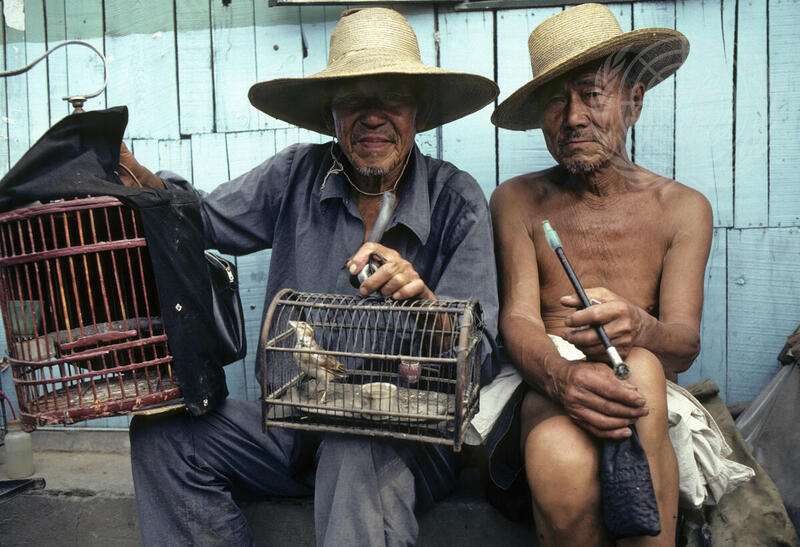 Human Settlements - The Places Where People Live and Work