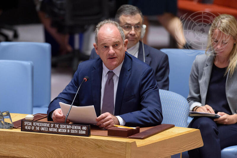 Security Council Considers Situation in South Sudan