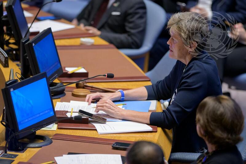 Security Council Meets on Maintenance of Peace and Security of Ukraine
