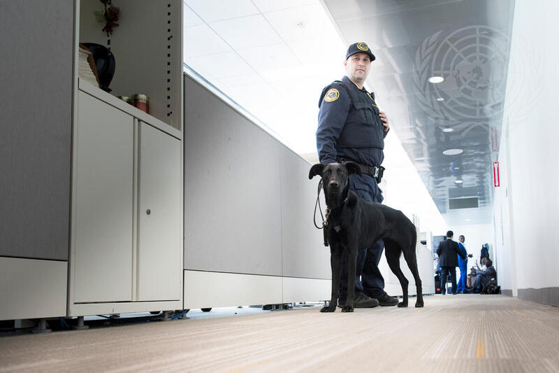 Members of the UN Security and Safety K-9 Unit