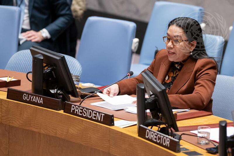 Security Council Meets to Hear Briefing on Security Council Mission to Colombia