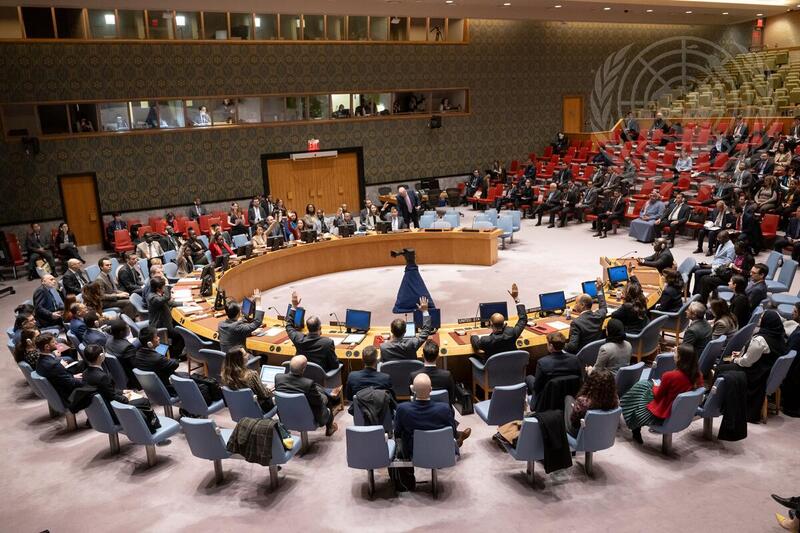 Security Council Adopts Resolution on Withdrawal of MONUSCO