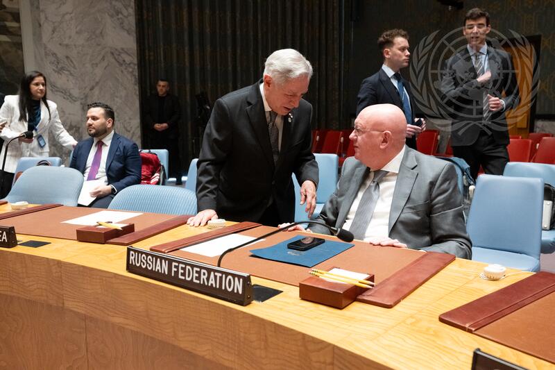 Security Council Meets on Maintenance of International Peace and Security