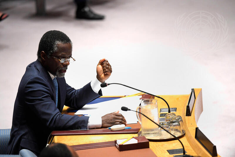 Security Council Considers Stuation in Central African Republic