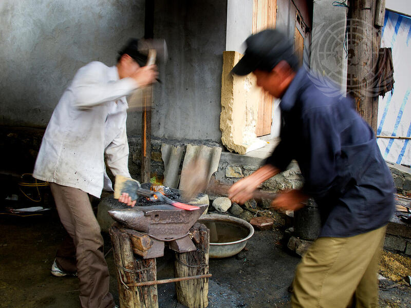 Livelihoods: Viet Nam