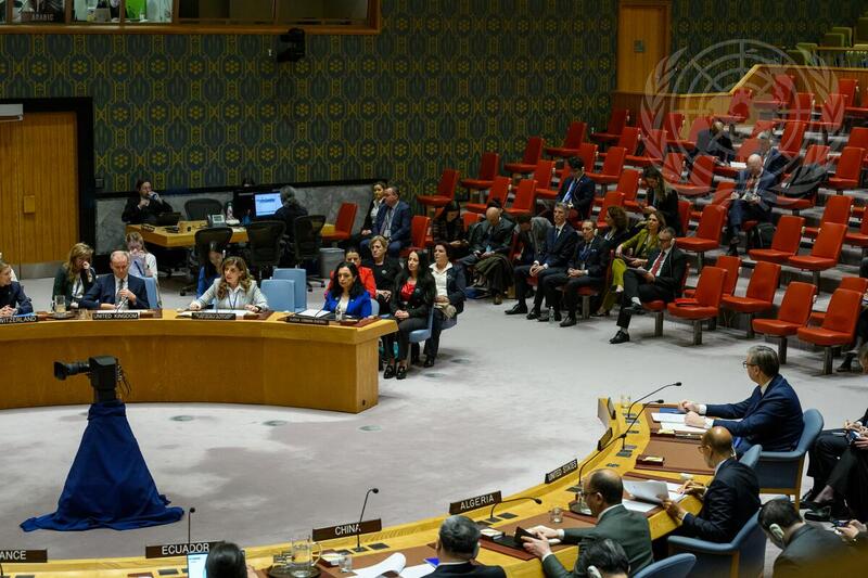 Security Council Hears Report on United Nations Interim Administration Mission in Kosovo