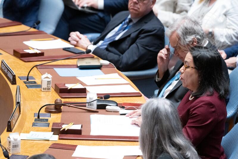 Security Council Meets on Maintenance of International Peace and Security