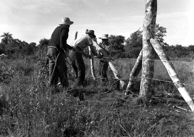 Background Photograph: Bolivian Indigenous Migration Programme