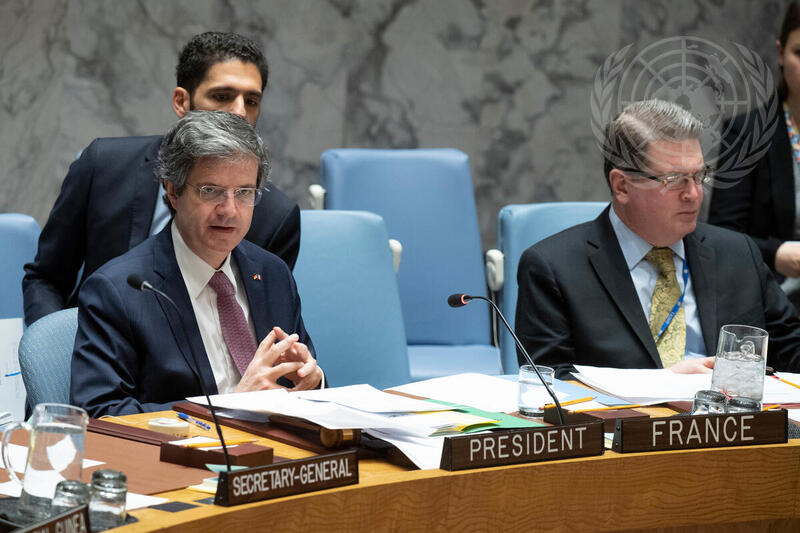 Security Council Hears Briefing by Organization for Security and Cooperation in Europe