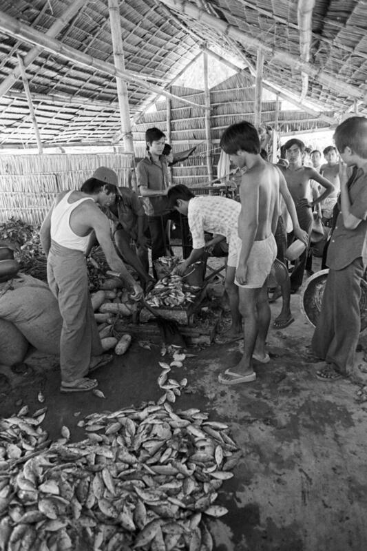 Coping with Disaster: Refugees and Displaced Persons in South-East Asia