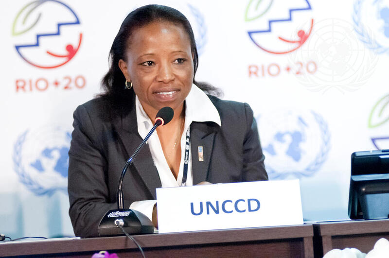 UNCCD Ambassadors Will Offset Carbon Miles