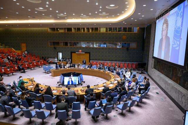 Security Council Meets on Situation in Syria
