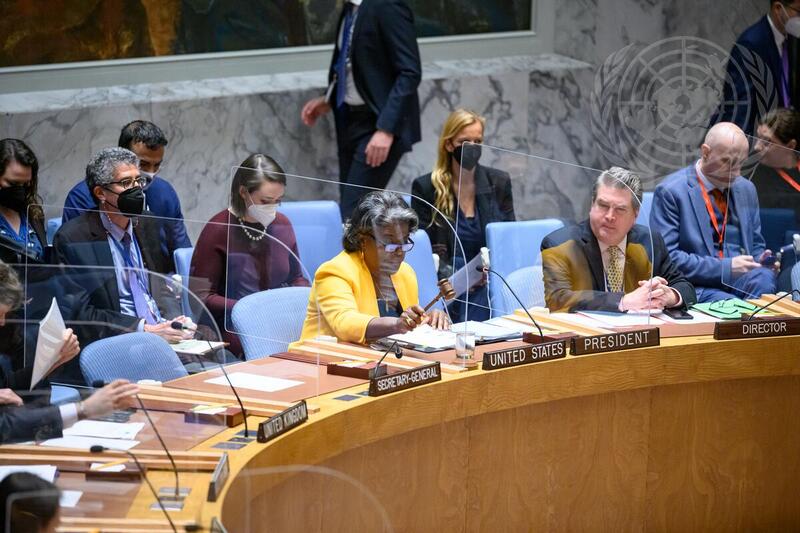 Security Council Meets on Non-proliferation and Democratic People's Republic of Korea