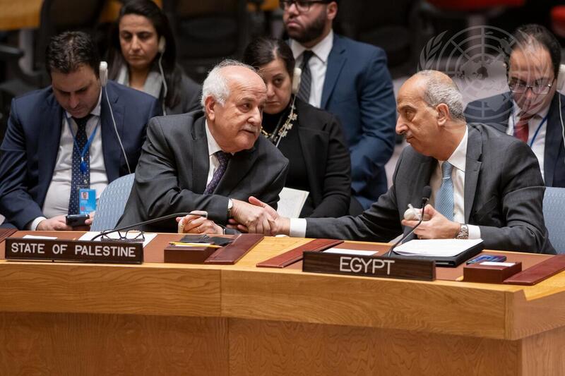 Security Council Adopts Resolution on Situation in Gaza