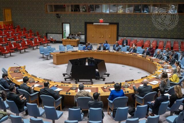 Security Council Meets on Situation in Syria