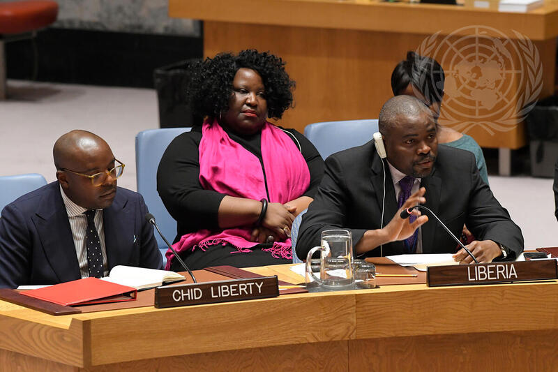 Security Council Considers Final Report on UN Mission in Liberia