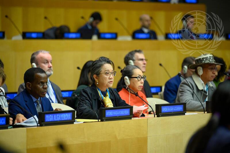 Economic and Social Council Meets on Resilient Recovery Guided by 2030 Agenda