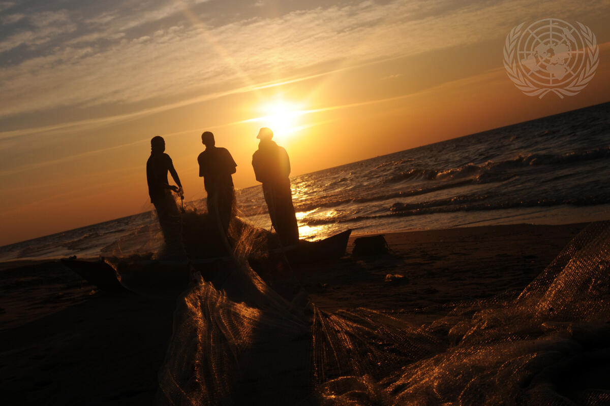 Palestinian Fishermen at Work in Gaza