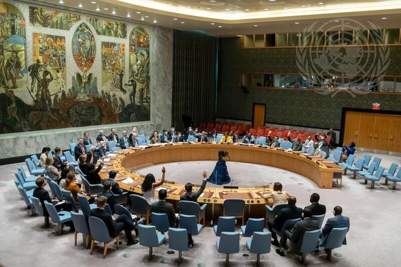Security Council Meets on Situation in Central African Republic