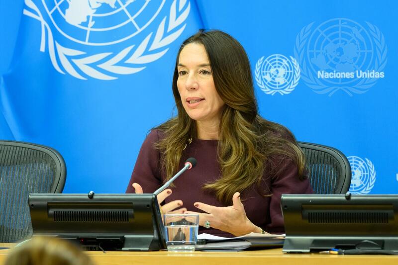President of Security Council Briefs Press on Programme of Work
